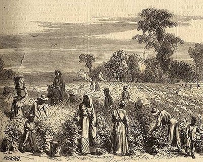 1694: Plantations - Rice cultivation is introduced in South Carolina ...