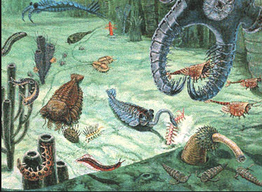 First Era of the Phanerozoic Eon Paleozoic Era. Started 542 MYA lasted ...