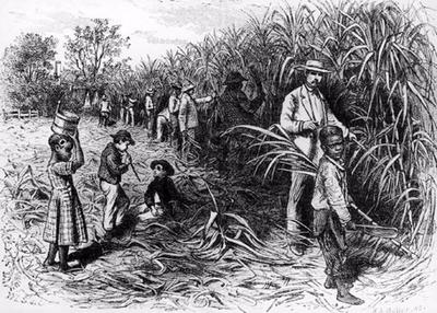 Slave Men Were Needed For Labour Wok
