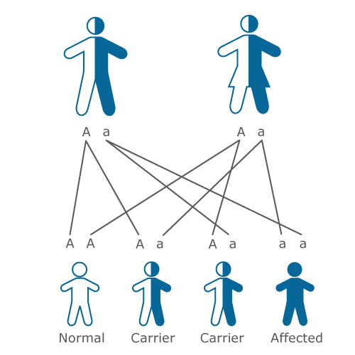 Resultado de imagen por ejemplo de trastorno hereditario