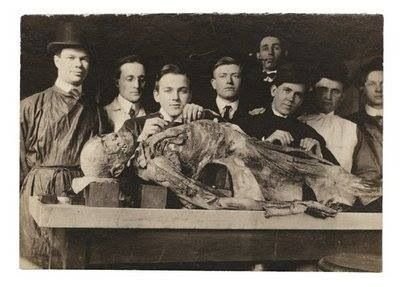 Dissection of the human body. Dissection is now accepted in this time ...