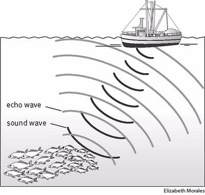 Sonar was invented in the early 1900s, but was not used until the ...