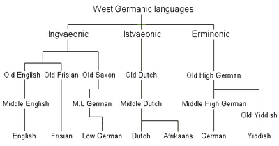 1- West Germanic languages