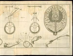 Drawings done by Descartes that show his understanding of mathematics