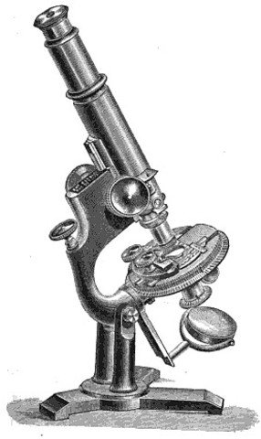 Scientific Achievements