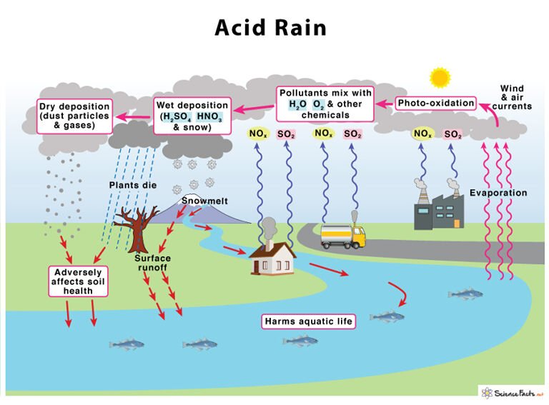 https://www.sciencefacts.net/acid-rain.html