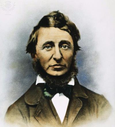 Henry David Thoreaus Transcendentalist Movement