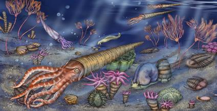 ordovician life forms