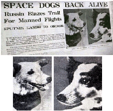 Belka and Strelka