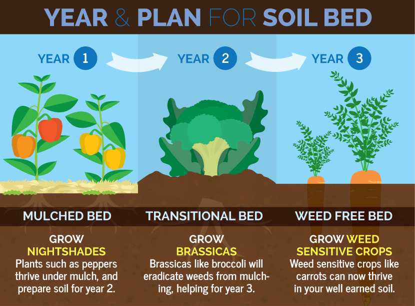 Crop rotation is a system of farming that usually lasts three years at ...