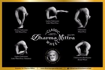 Master Yoga Chart Of 908 Postures