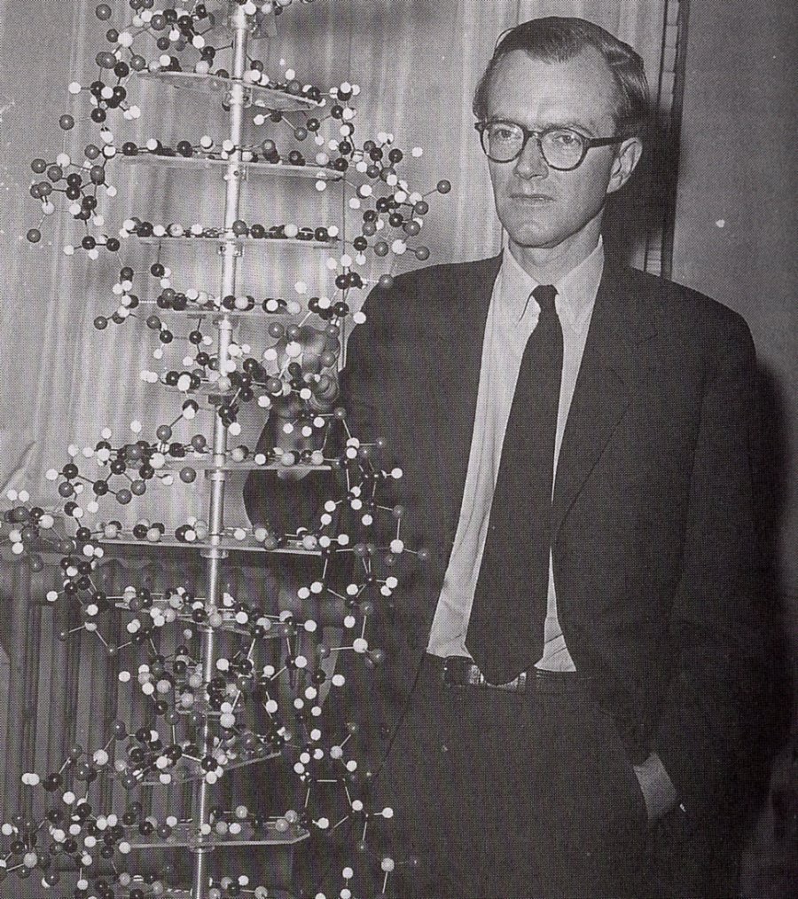 Maurice Wilkins understanding the DNA structure