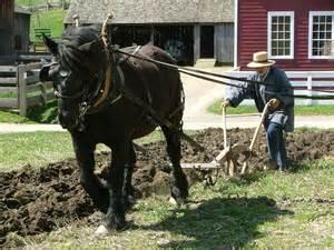 plowing plow horse hard amish work horses farm soil old drawn mule rural their garden farming blacksmith draft farmer fields