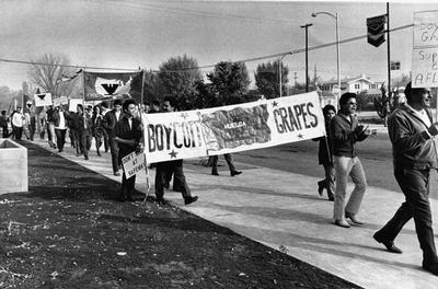 united farm workers strike