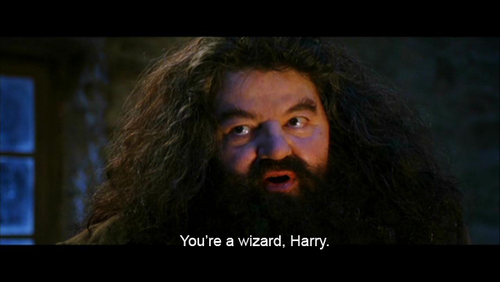 True wizard. Хагрид Кубок огня. You're a Wizard Harry.