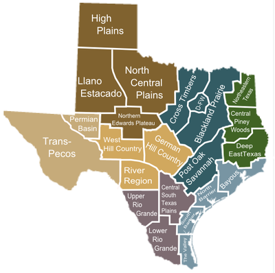 rolling-plains-grand-prairie-cross-timbers