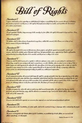 Human Rights Amendment Share