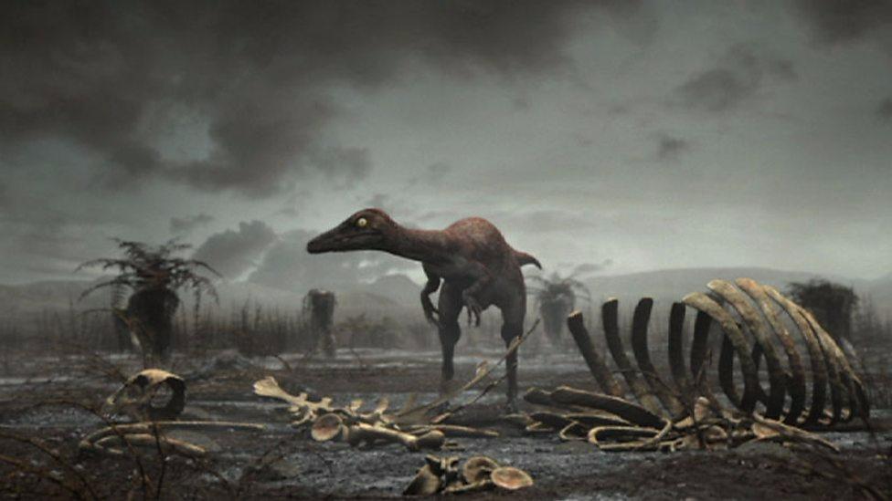 Cretaceous Extinction