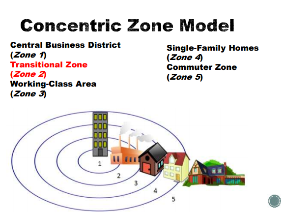 Concentric Zone Theory – Mapping the Roots of Urban Crime