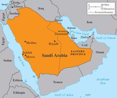 http://www.gulf-insider.com/saudi-fast-facts/