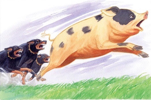 how does napoleon use the dogs in animal farm