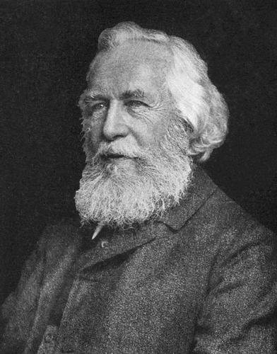 Padre de la Ecología Ernst Haeckel | Sutori