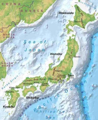 Japanese Beginnings