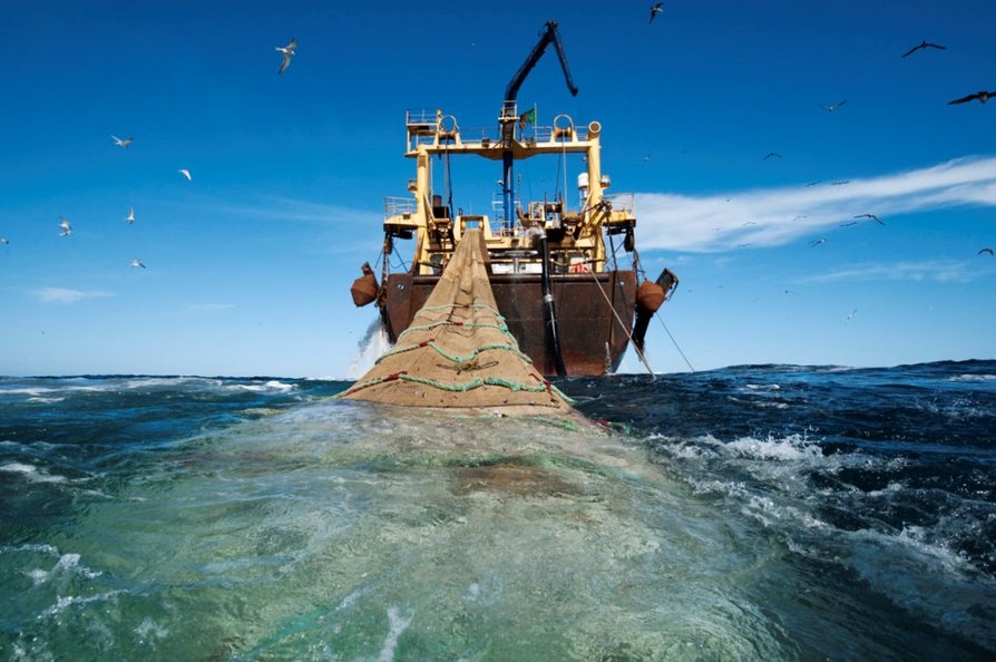 Photo shows the massive nets used which adds to overfishing.