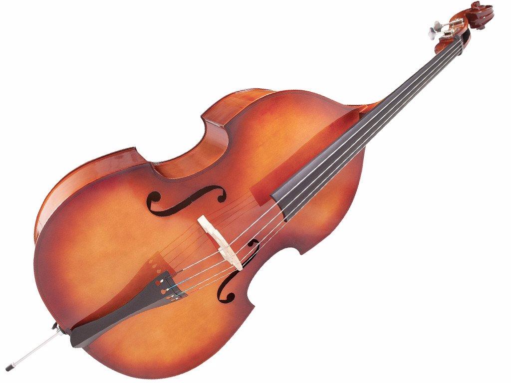 The Double Bass