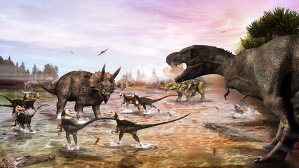 Earth's Mass Extinction Events