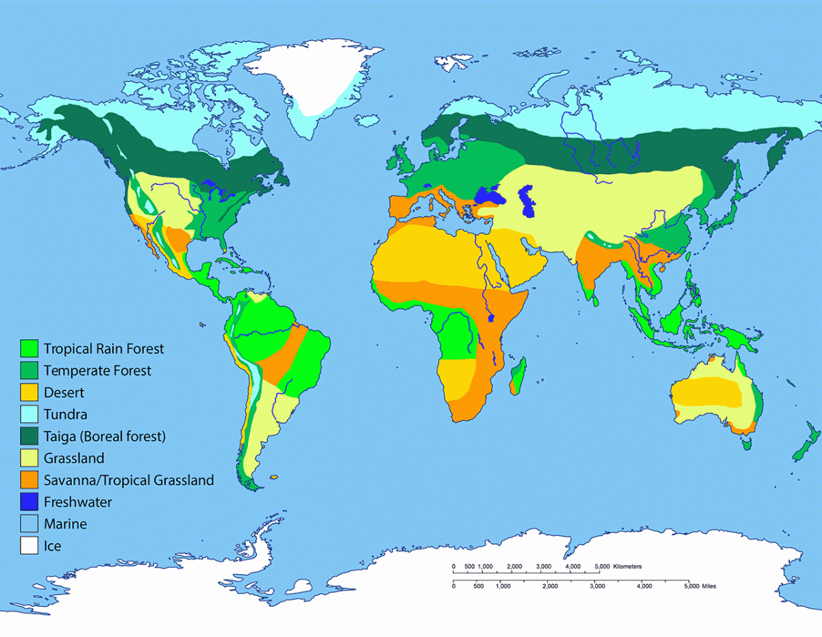 Карта биомов