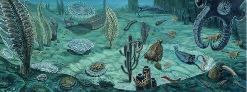 Cambrian Period