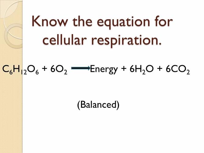 Balanced Chemical Equation For Cellular Respiration Tessshebaylo