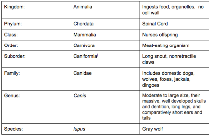 Gray Wolf Classification Chart