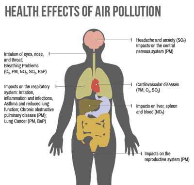 An image of the effect of air pollution on the human body.