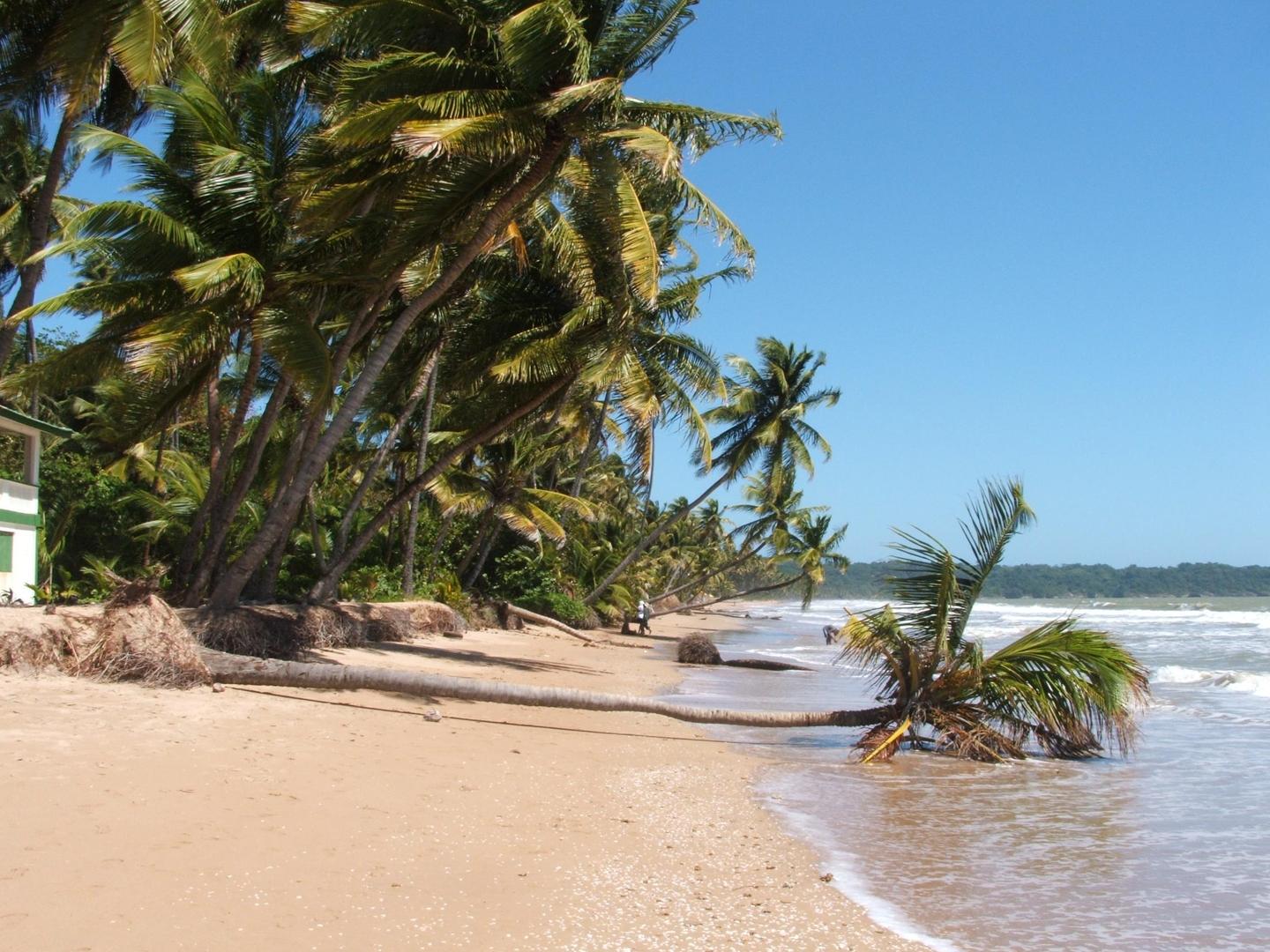 https://upload.wikimedia.org/wikipedia/commons/2/2c/Mayaro_Beach_8%3B