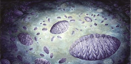 First Recorded Complex Life Form First Fossil of a Complex Organism: Was found one billion years ago ...