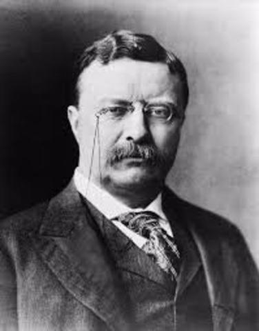 1901-1909 : Golden Age of conservation ( Theodore Roosevelt).