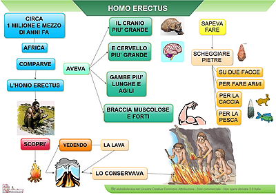 L Evoluzione Dell Uomo Sutori