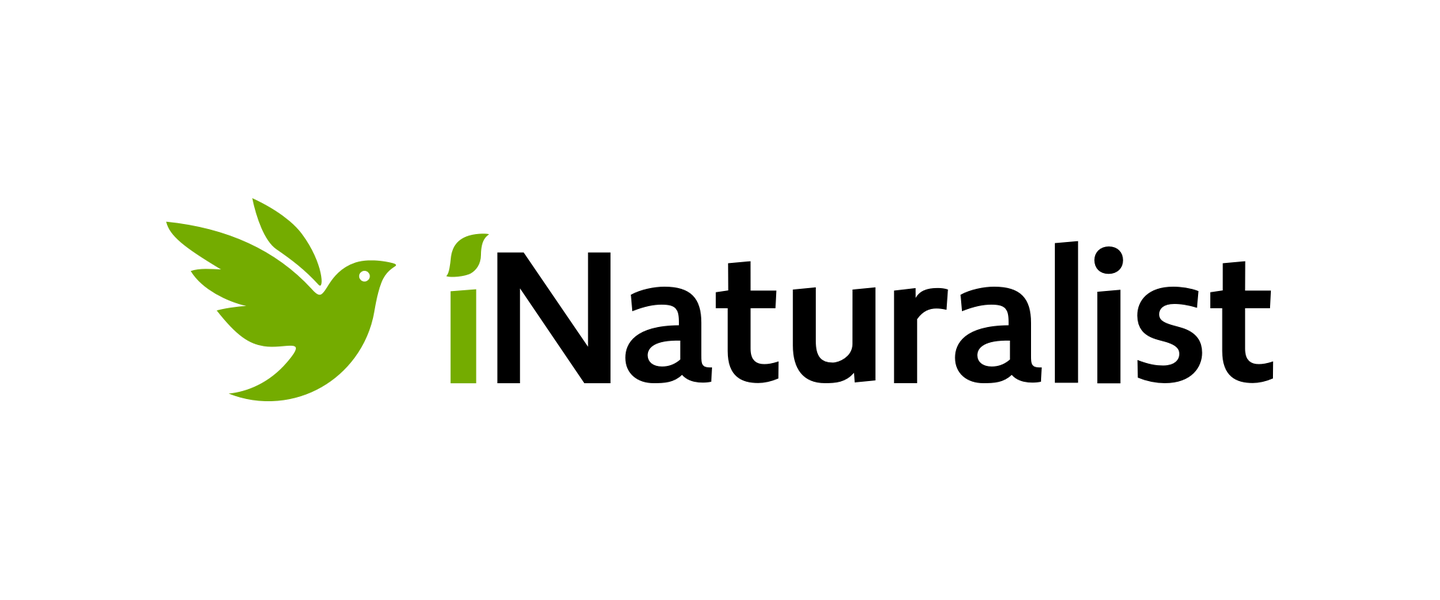 Naturalist forge. INATURALIST приложение. I Naturalist приложение. Натуралист лого. The Naturalist логотип.