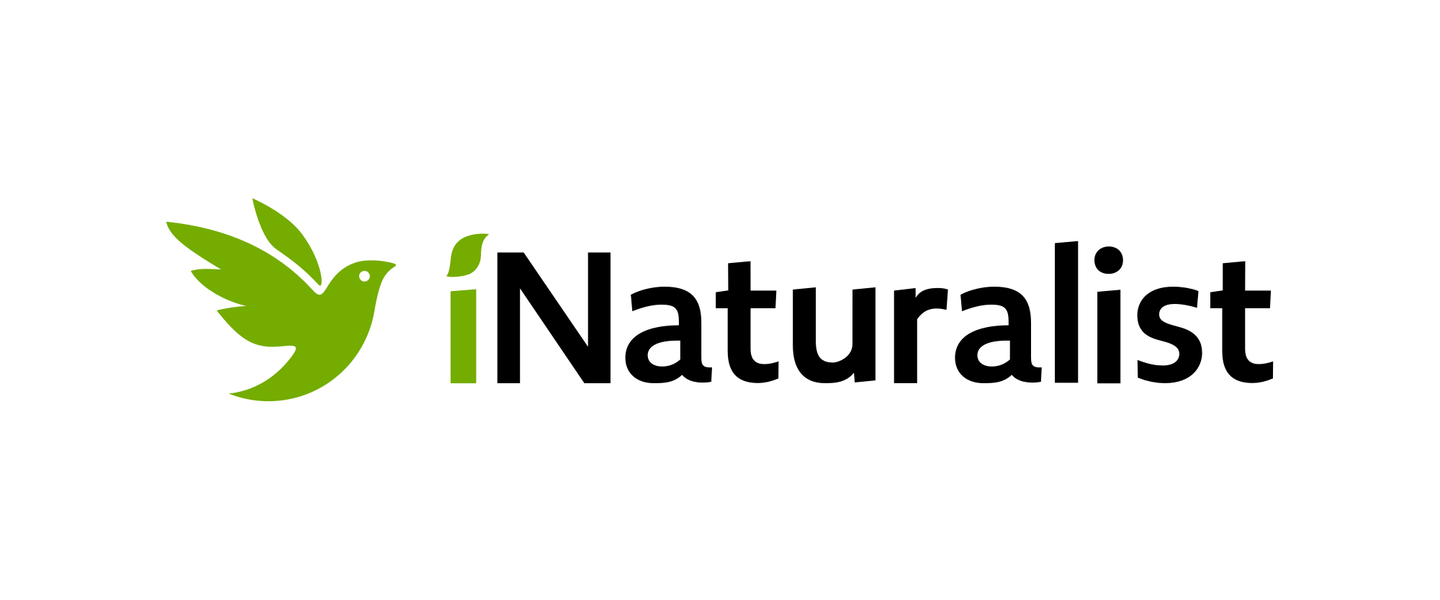 [iNaturalst logo]. (n.d.). Retrieved from https://www.inaturalist.org/