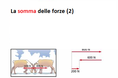 LE FORZE | Sutori