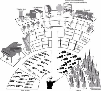A typical seating arrangement for a symphony orchestra