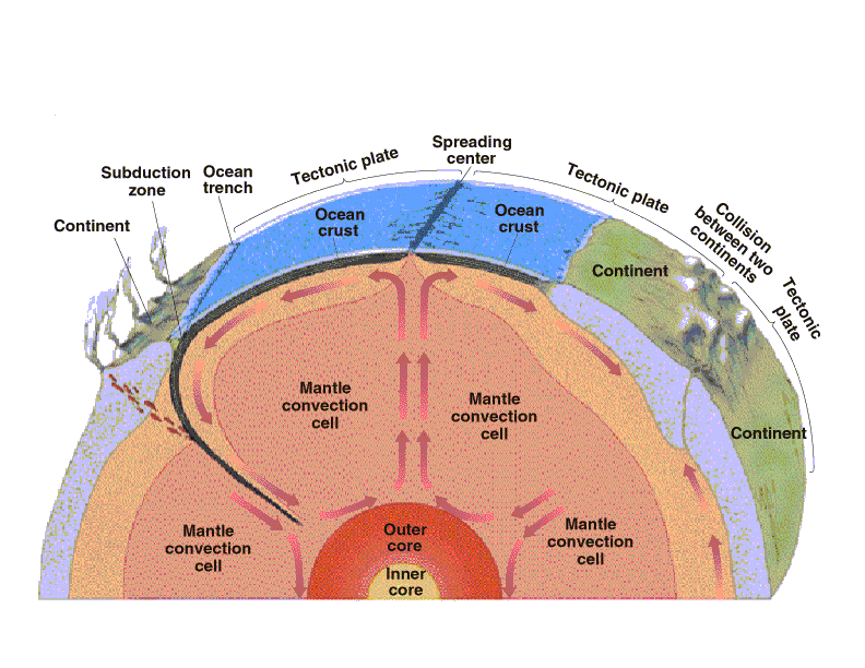 Go to this web-page and take notes about the driving force behind plate ...