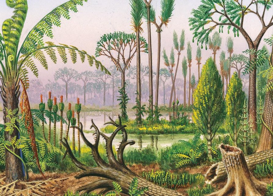 - An illustration of the Carboniferous Period.