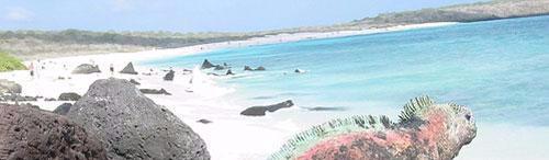 Para imprimir la historia, hágalo a través del enlace en la barra de ...