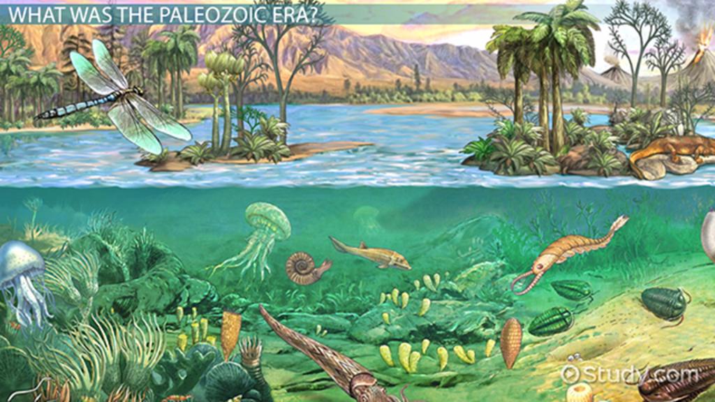 http://study com/cimages/videopreview/the paleozoic era 114661 jpg