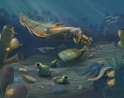 Proterozoic Eon: Oxygen causes sea life to being during 2,500 MYA.