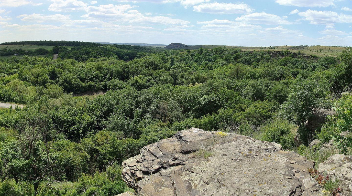 Заповедник донецкий кряж фото и рассказ