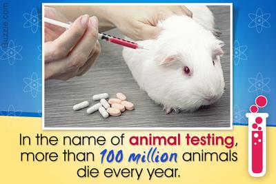 Animal testing is cruel! | Sutori